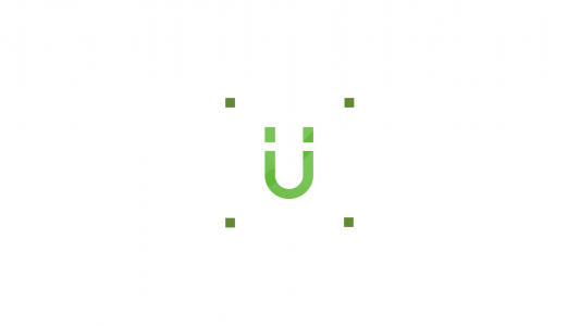 Unique Flat corporate logo animation