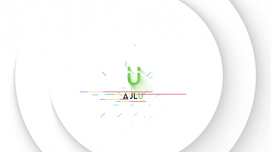 Unique Flat corporate logo animation