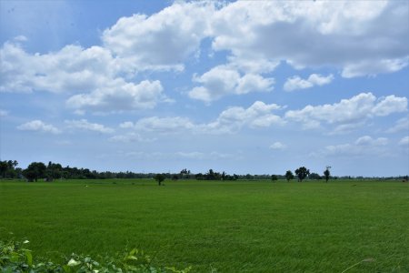 landscape agri land