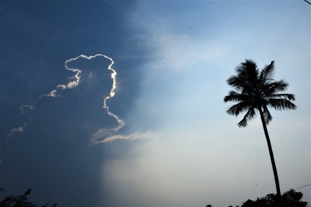 gorgeous natural view