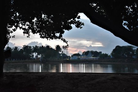 gorgeous natural view