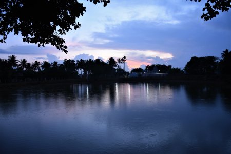 gorgeous natural view