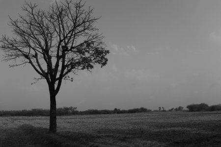 black and white landscape