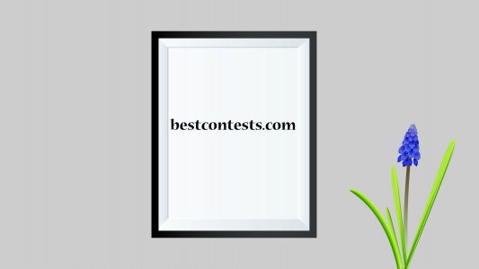 bestcontests.com