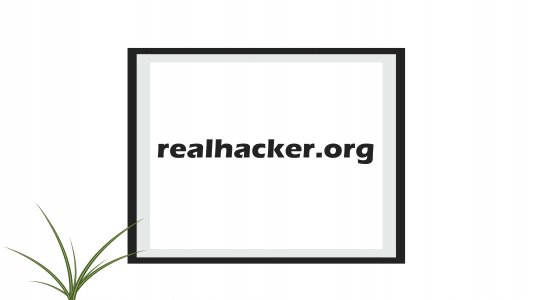 realhacker.org