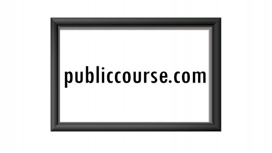 publiccourse.com