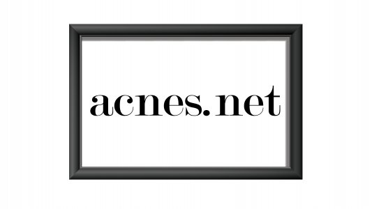 acnes.net