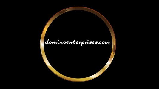 dominoenterprises.com