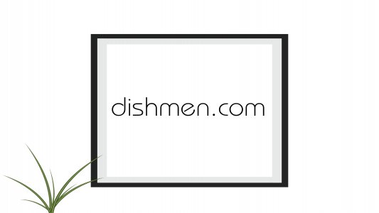 dishmen.com