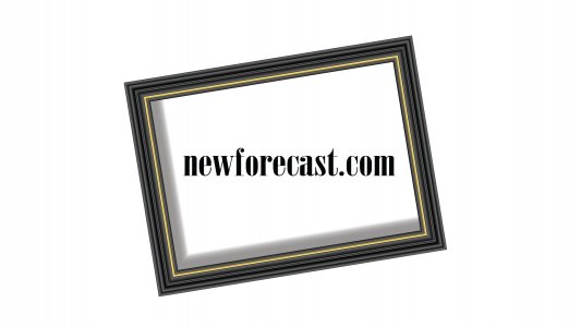 newforecast.com