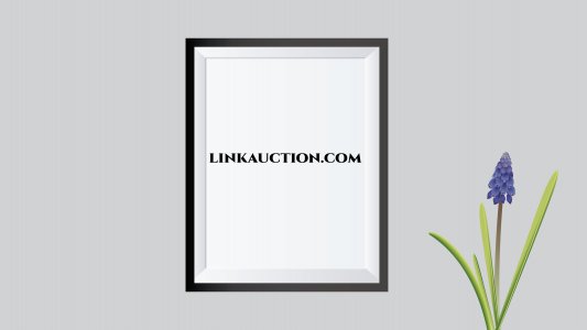 linkauction.com