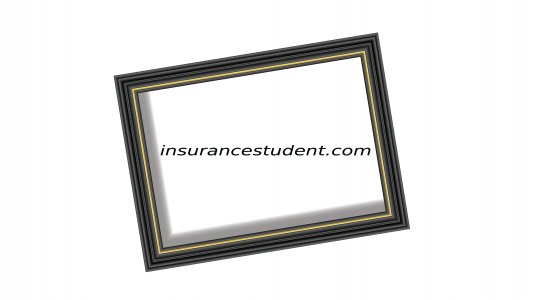 insurancestudent.com