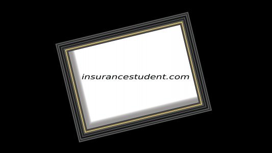 insurancestudent.com