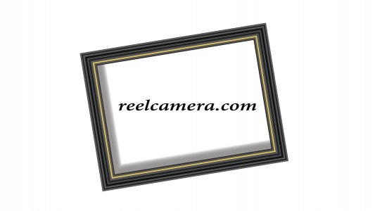 reelcamera.com
