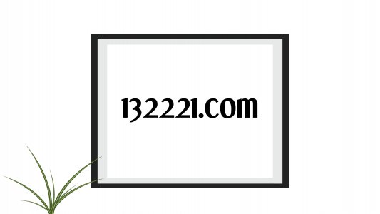 132221.com