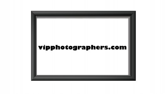 vipphotographers.com