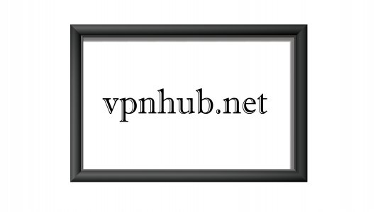 vpnhub.net