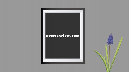 spectraview.com