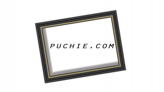puchie.com