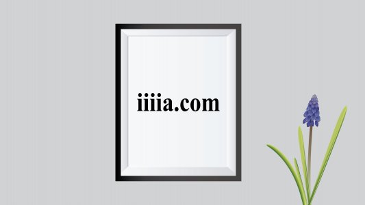 iiiia.com