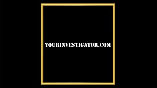yourinvestigator.com