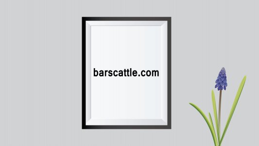 barscattle.com