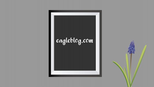eagleblog.com